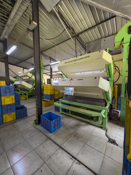 Elpitiya Tea Estate Image